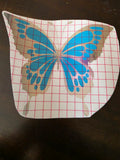 Papillon