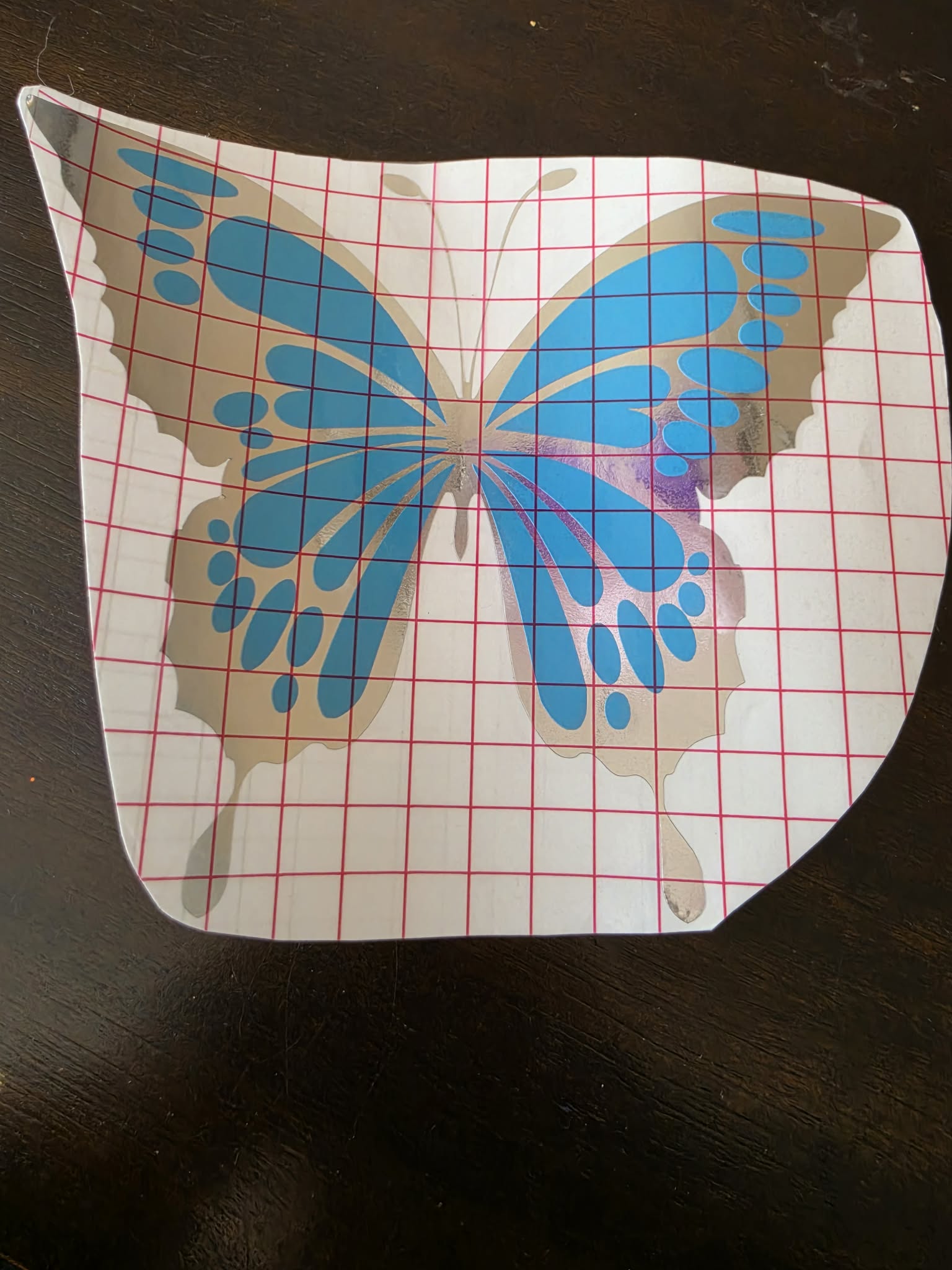Papillon