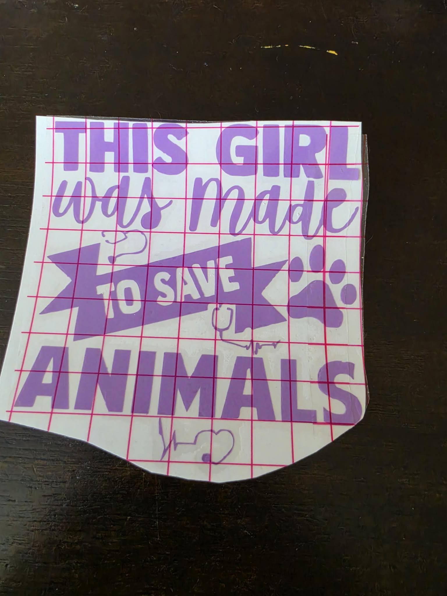 This girl was made to save animals